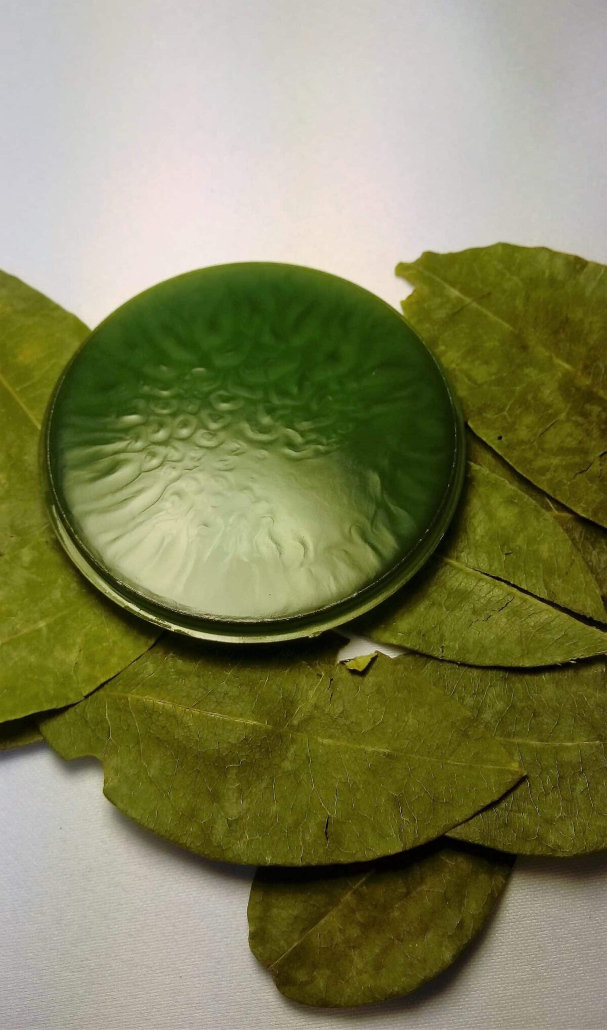 coca leaf ointment