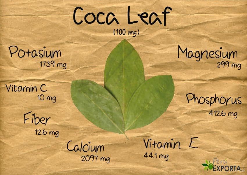 What are Coca leaves good for?